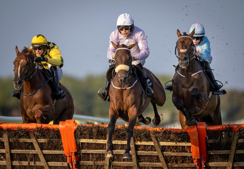 Top few days for Tipperary jockeys and trainers as winners clocked up 
