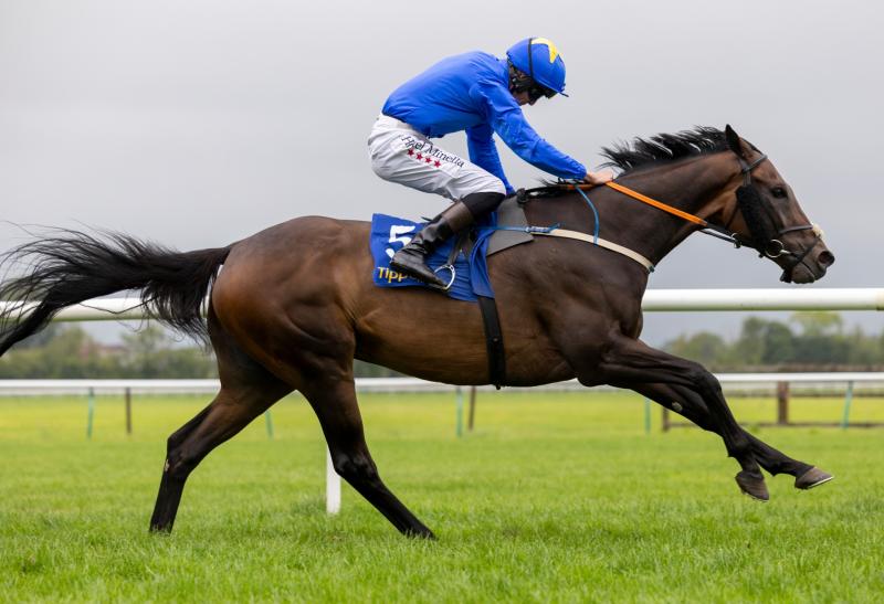 Fantastic day out at Tipperary Races last Sunday with the Denis Hogan-trained Polemon winning big 