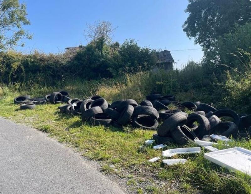 Tipperary councillor issues plea to the public to report illegal dumping in rural areas