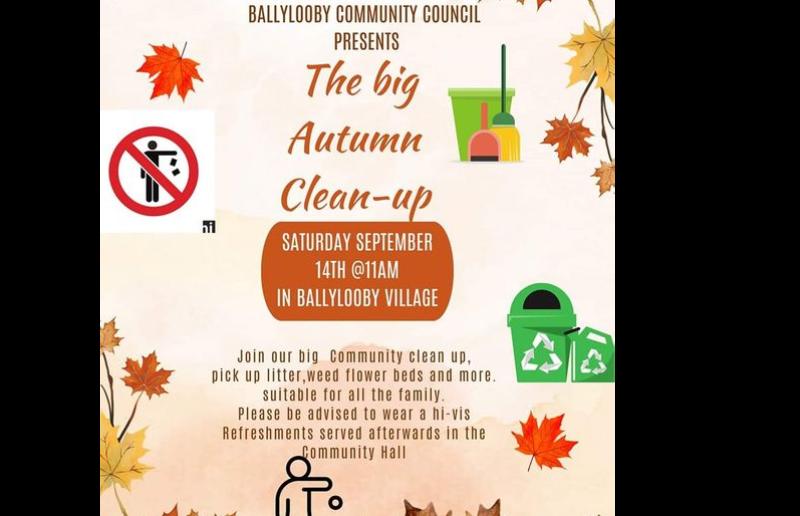 Big clean-up planned for a Tipperary village