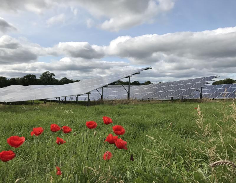 Developer aims to have €50m Tipperary solar farm project operational by 2027 