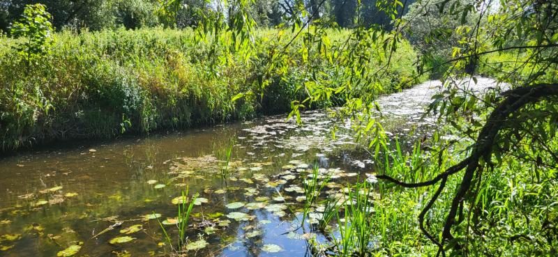 &lsquo;God only knows what is coming out of those pipes,&rsquo; Thurles river raised at district meeting