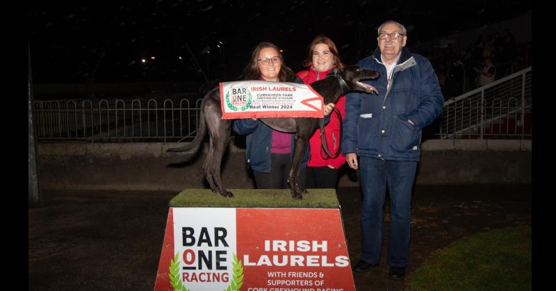 Tipperary trained 'The Other Kobe' impresses again at Curraheen Park 