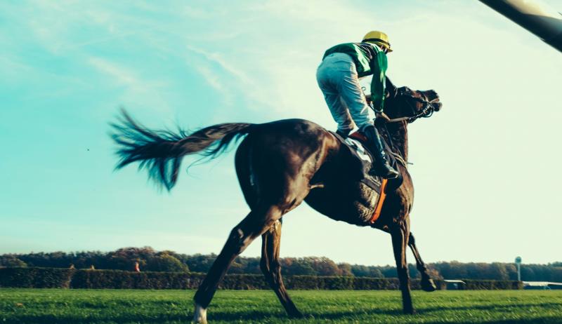 Tipperary Racecourse set to host special race day this weekend