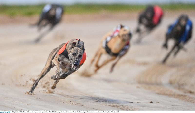 Tipperary Trained Stonepark Hoffa claims €10,000 Paddy Merriman memorial final