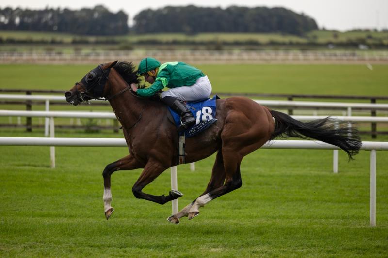 Celebration as Aidan O'Brien and Ryan Moore complete a four-timer at the Curragh 