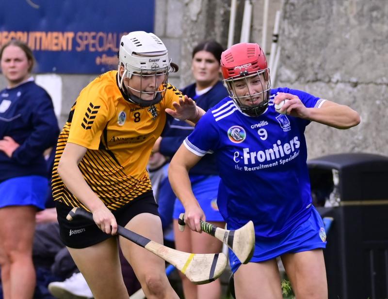 REPORTS: Senior camogie championship down to last four after brilliant quarter-final ties