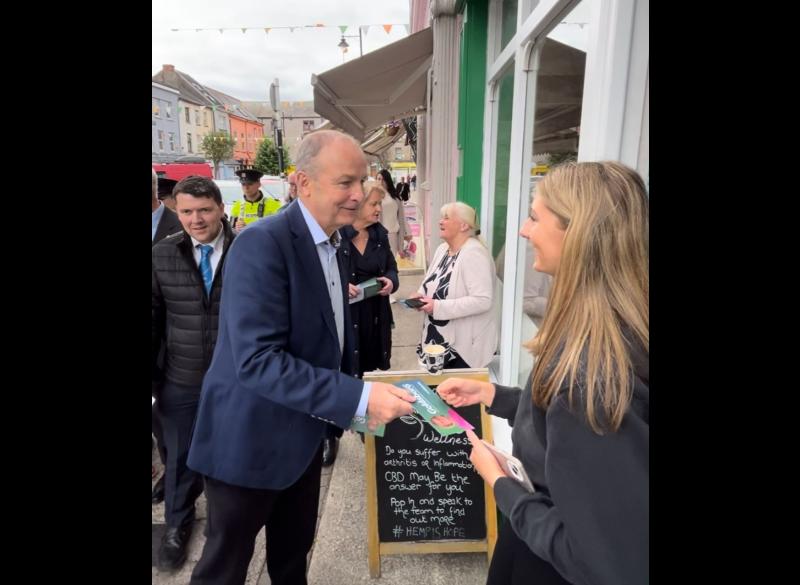 Tánaiste Micheál Martin wants to win a seat in Tipperary South
