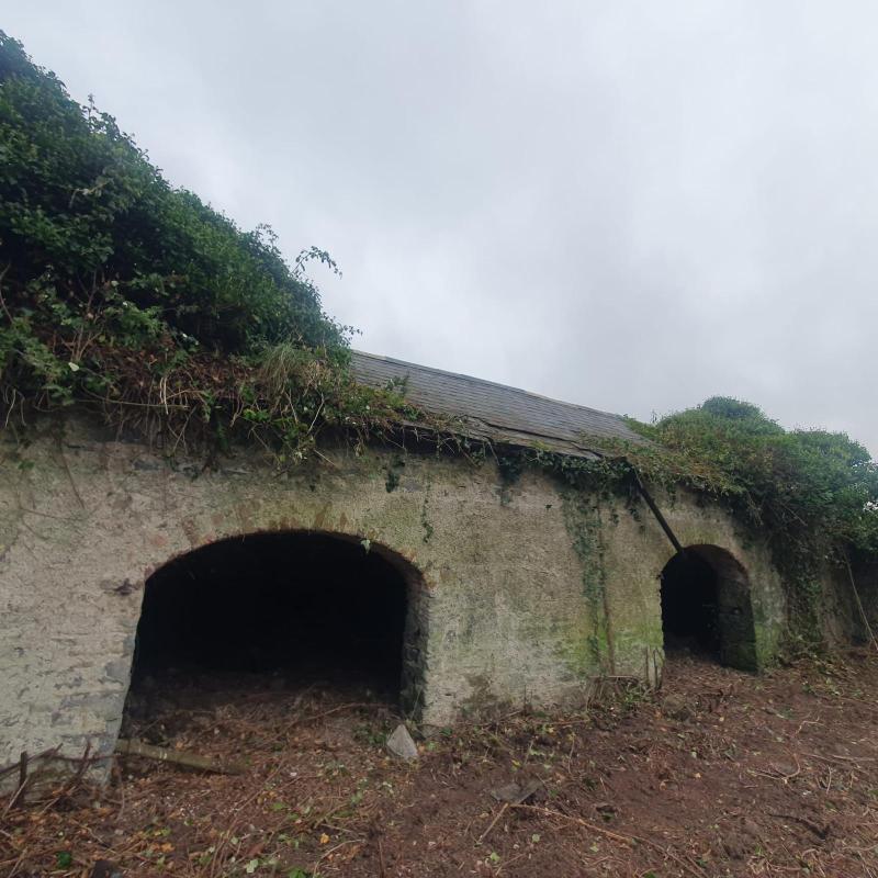 Hedgerows Ireland to stage protest outside Tipperary farm