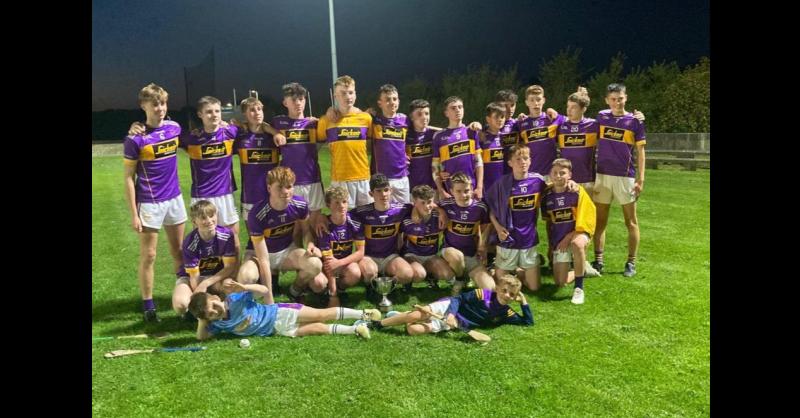 Newport class defies fantastic display from Moyle Rovers in County U15A hurling semi-final