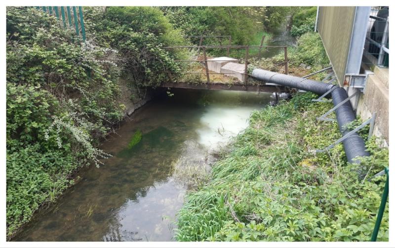 Inland Fisheries Ireland prosecutes Tipperary dairy supplier for water pollution