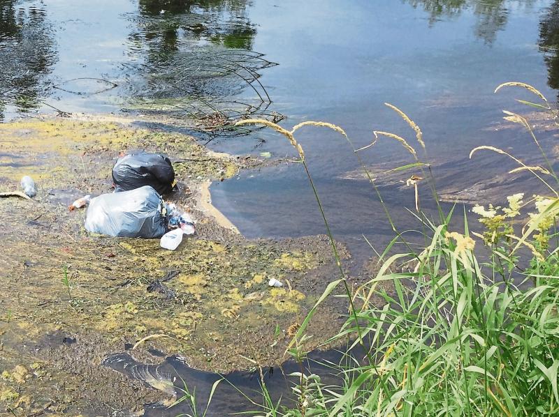 Dramatic decline in water quality reported in south Tipperary