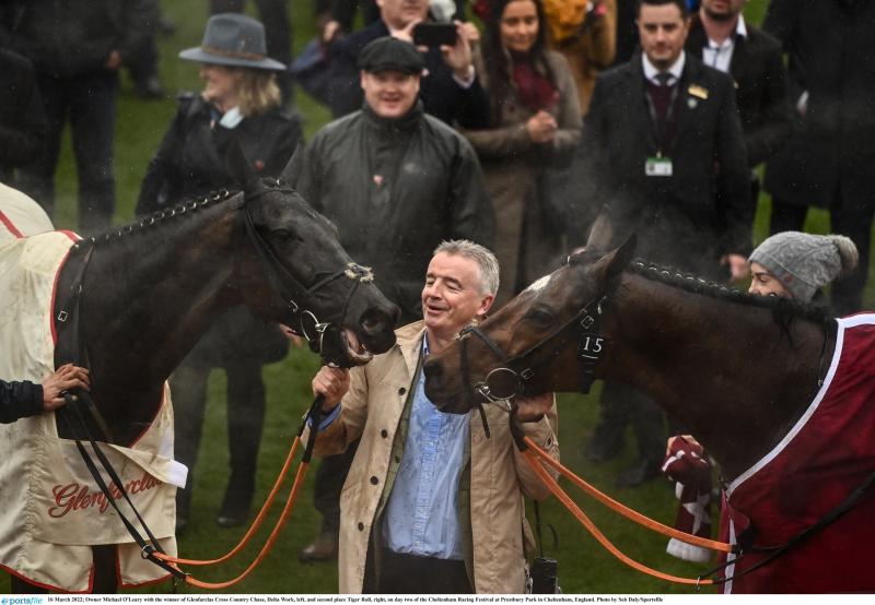 Tiger Roll sure to bring a big roar to the parade at the Munster National