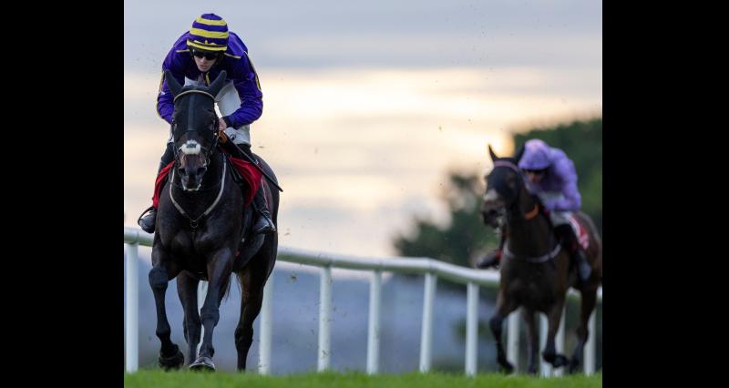 Tipperary jockey rides a 40/1 runaway winner to a chorus of cheers 