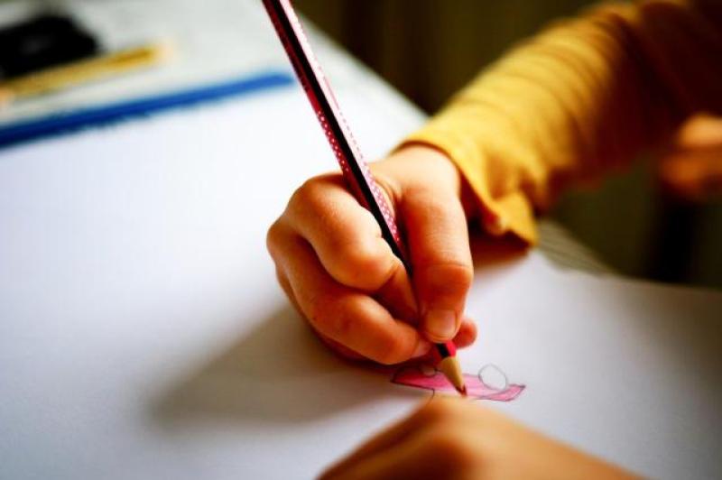 'Brick walls and closed doors' for Laois parents of special needs children, says councillor
