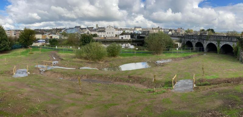 Two Carrick-on-Suir projects aim to reduce pollutants from run off surface water 