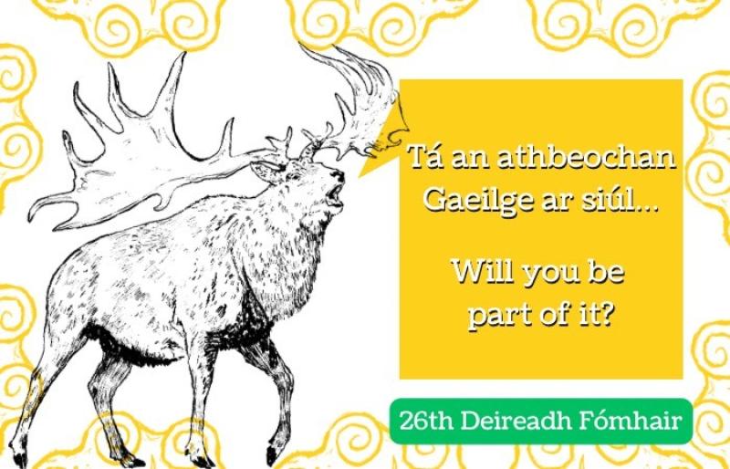 Are you looking to reignite your love of Irish? Then this FREE event is for you!