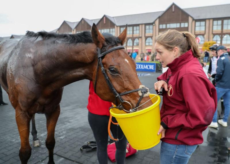 Mouse Morris trained French Dynamite showing top form to win in style 