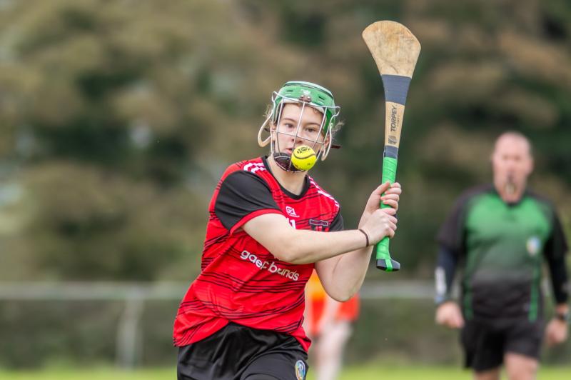 Moneygall's Munster foray ended at the first hurdle by strong Kerry opposition 