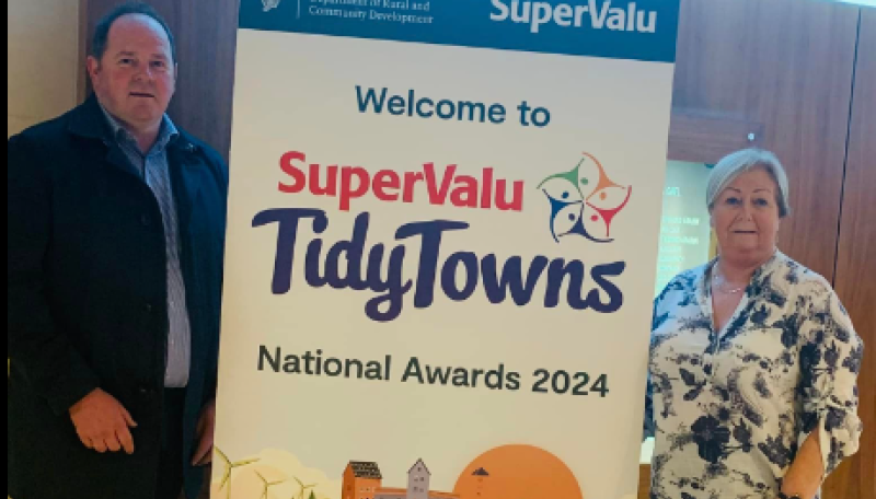Tipperary towns win big at annual Tidy Towns Awards