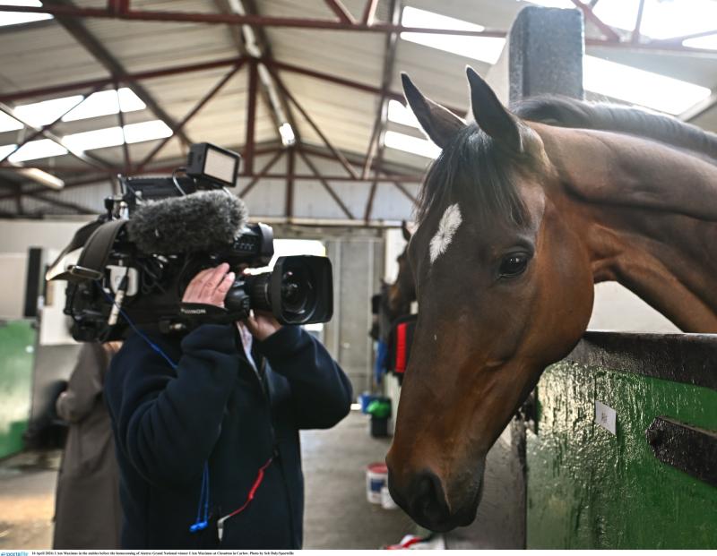 Runners declared for the big race this Saturday which looks wide open 