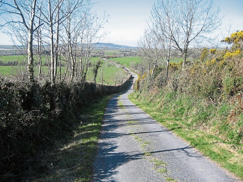 Hedgerows will be discussed at historical society meeting in Tipperary