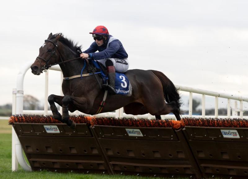 Tipperary jockey's and trainer's clock up the wins in the racing world