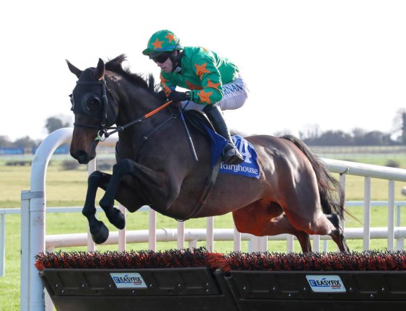 Tidy win for Mouse Morris and Darragh O'Keeffe with recent Fairyhouse double 