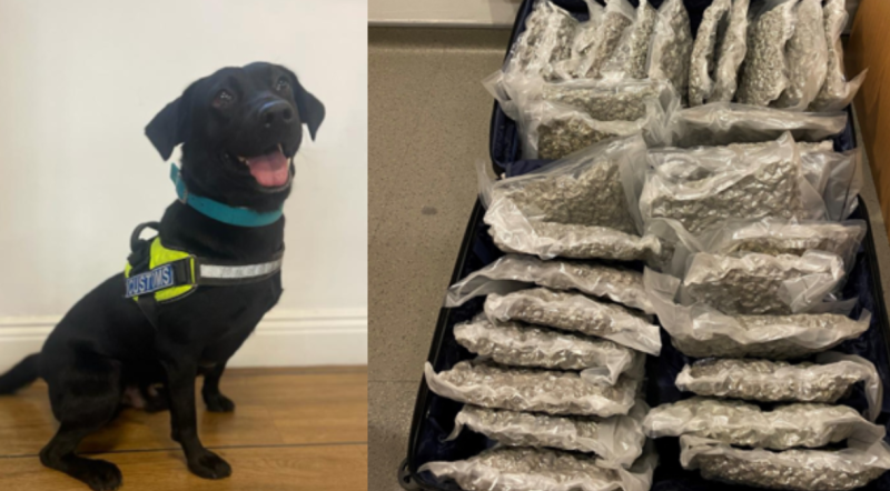 Man arrested after Revenue seize over &euro;600k worth of drugs 