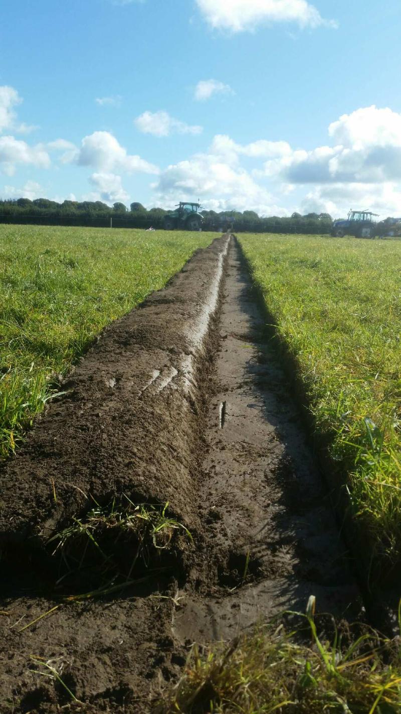 Kilkenny farmer finds lost watch in field after 14 years!
