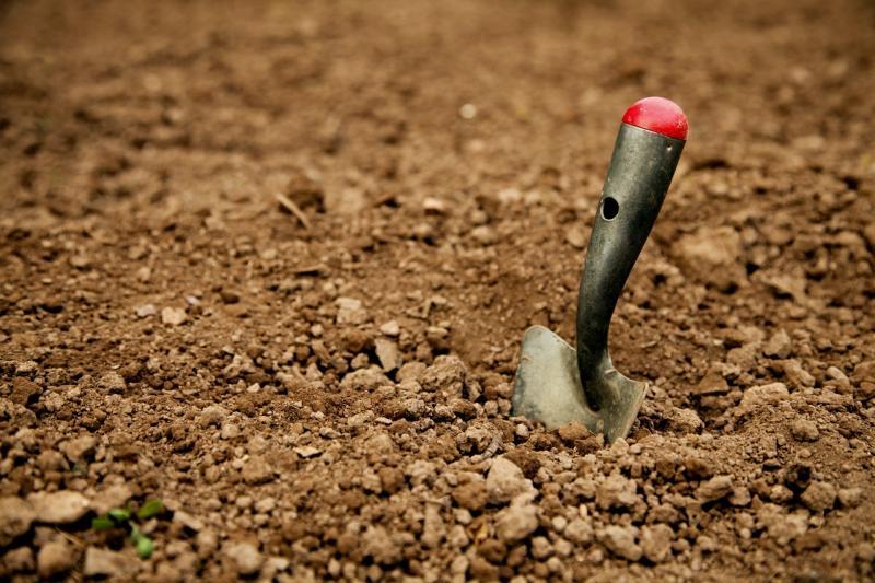 Skeletal remains found in Tipperary could be from medieval burial site
