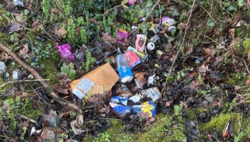 Local Tipperary Tidy Towns group angered  by rubbish dumping