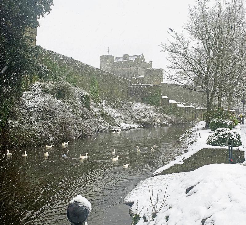 Tipperary snowstorm affects a wide range of local services