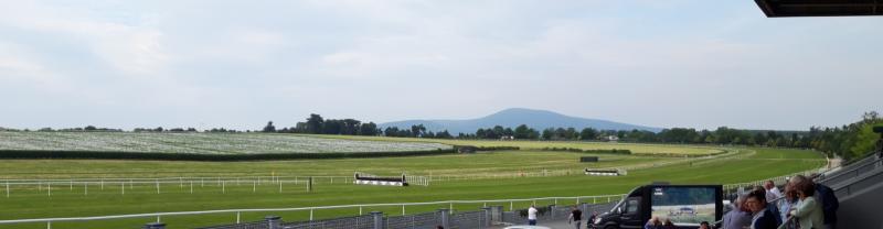 New date announced for horse racing meeting in Clonmel
