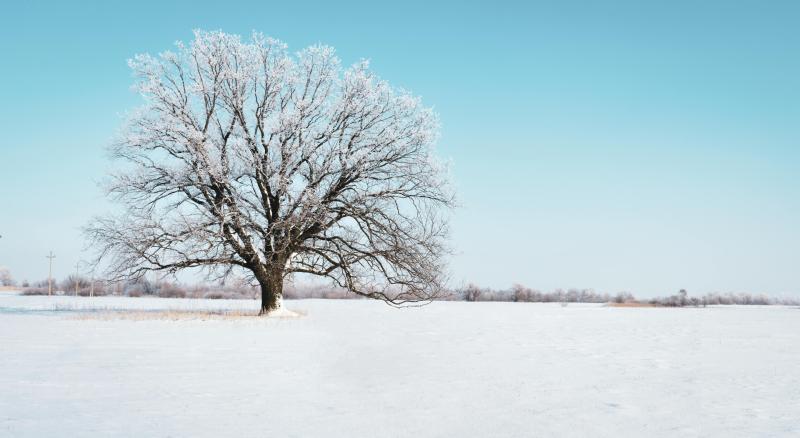 Snow