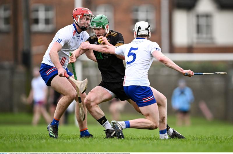 Huge Tipperary interest as Fitzgibbon cup takes centre stage later this week 