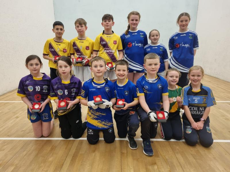 Cumann na mBunscoil handball county finals are a huge success