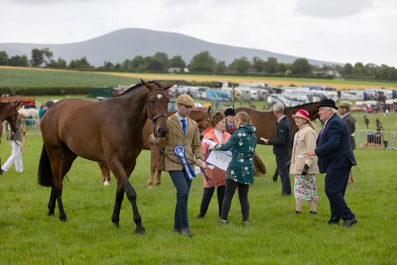 LONG READ: Tipperary venue is much more than a racecourse