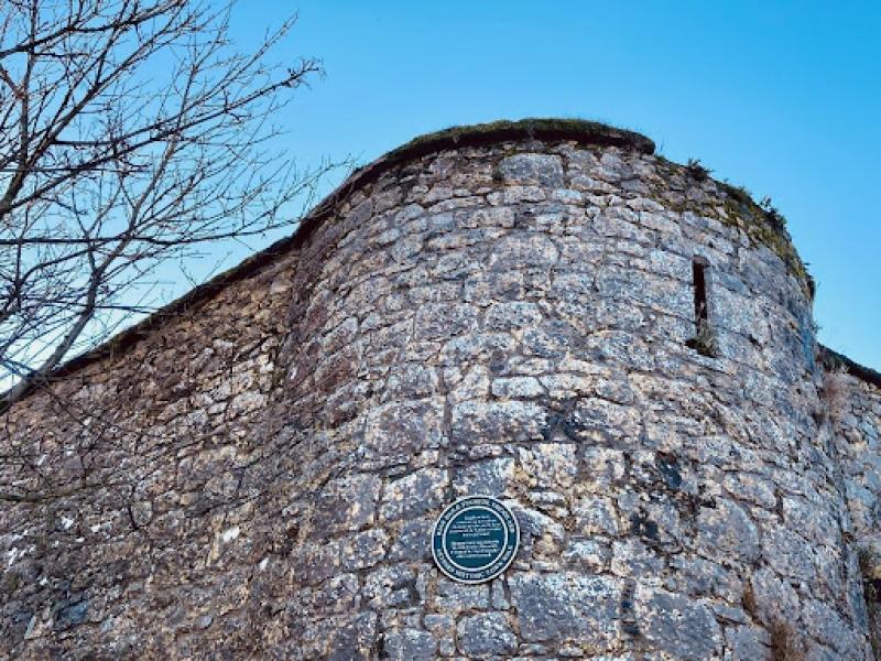Appeal made to safeguard important site in Tipperary heritage town