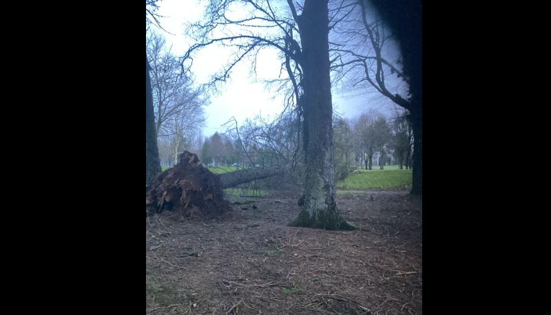 CARNAGE: Popular Tipperary sports club revealed big damage after Storm Éowyn 