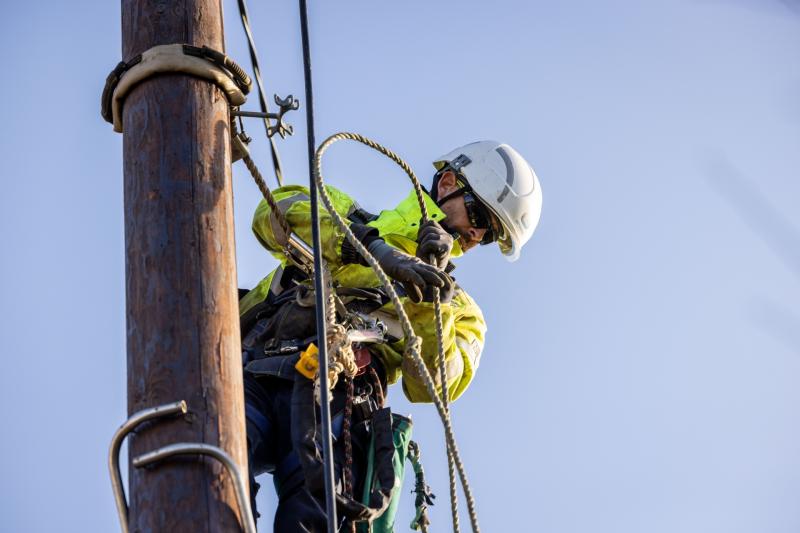An ESB worker 