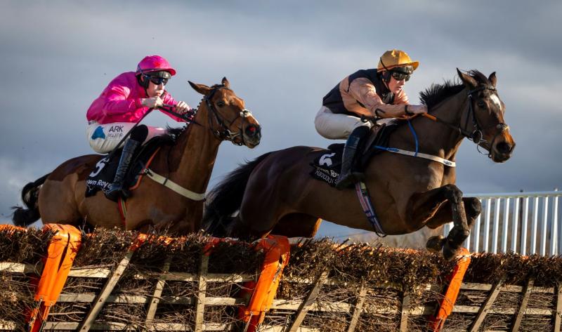 Another winner for Tipperary jockey Cian Quirke who shone at Down Royal 