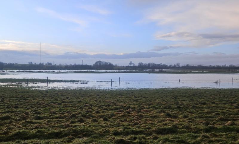 Tipperary residents enraged by proposed wind and battery farms
