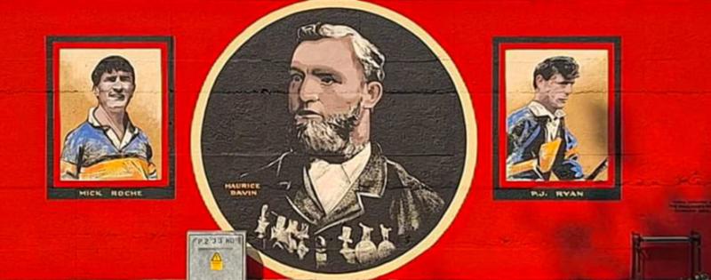 Carrick-on-Suir GAA club completes striking facelift of its grounds  