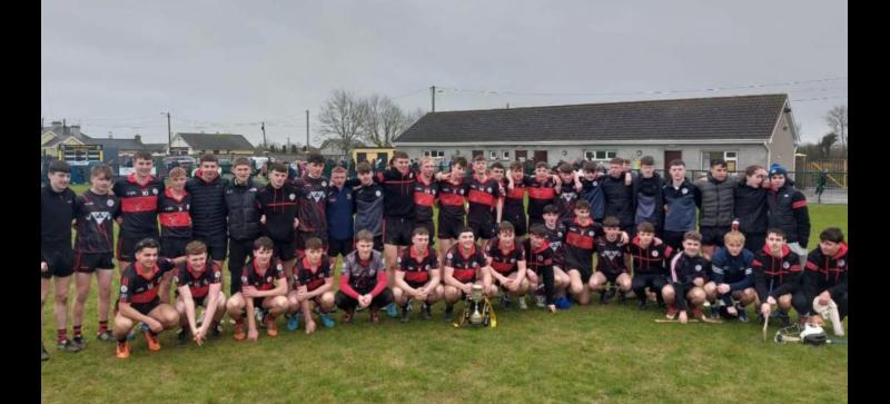 Clonmel High School crowned Munster Schools hurling champions after emphatic final win