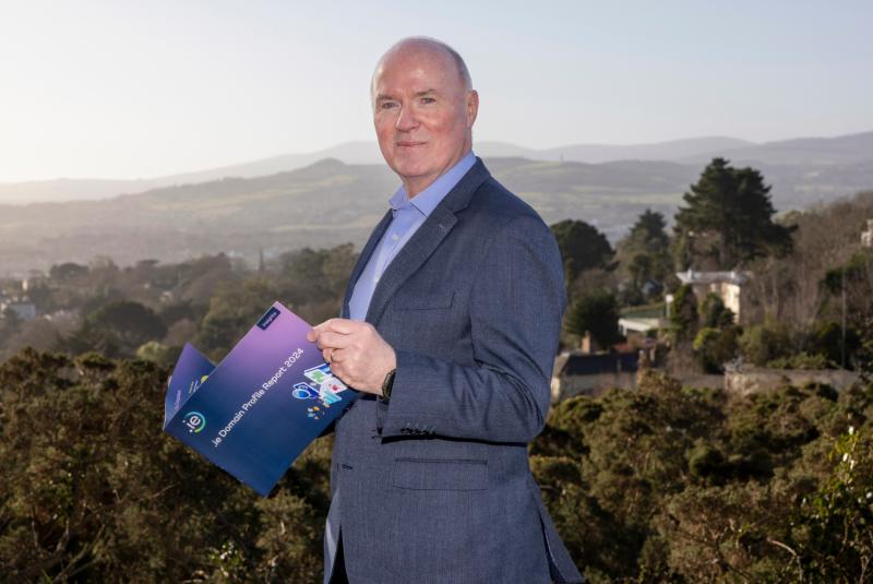Tipperary records growth in domain registrations according to new report
