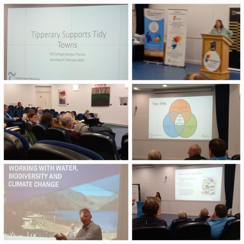Cashel Tidy Town volunteers attend fantastic event at the TUS Campus