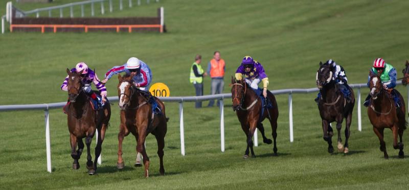 Novice hurdle is the feature race on the card at Clonmel Races