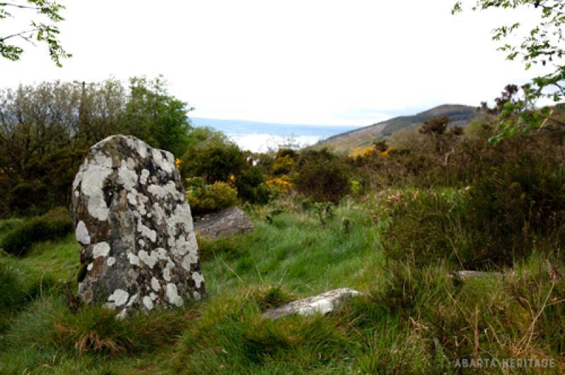 Tipperary Tipperary Tipperary 