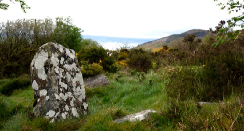 Tipperary community groups encouraged to join 'Adopt a Monument' scheme